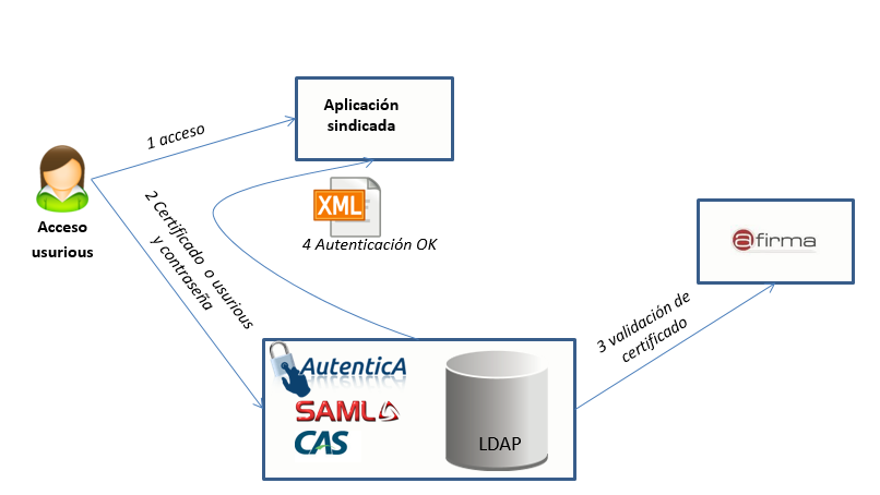 Diagrama Autentica